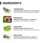 Dermatouch Actives 2% Rosemary Water for Early Hair Fall & Reduced Hair Volume view 3