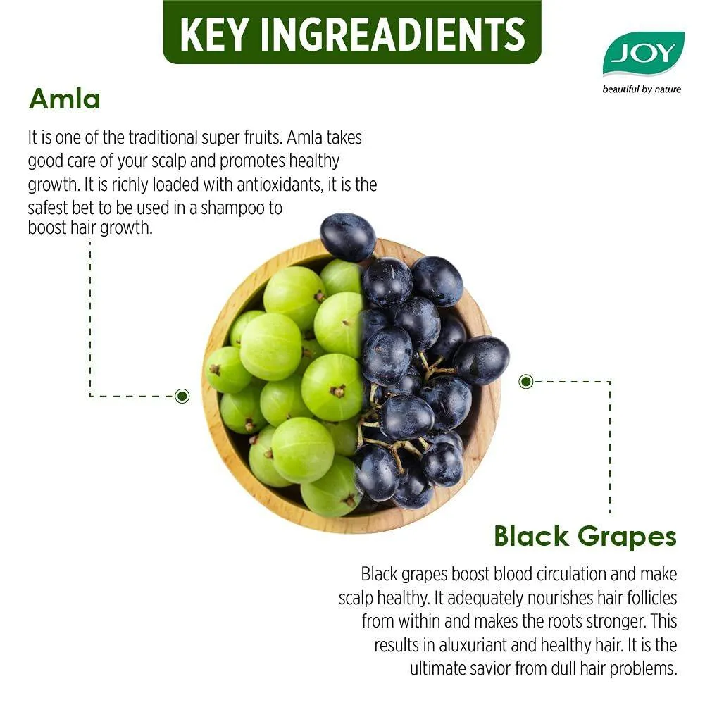 Joy Hair Fruits Shining Black Conditioning Shampoo