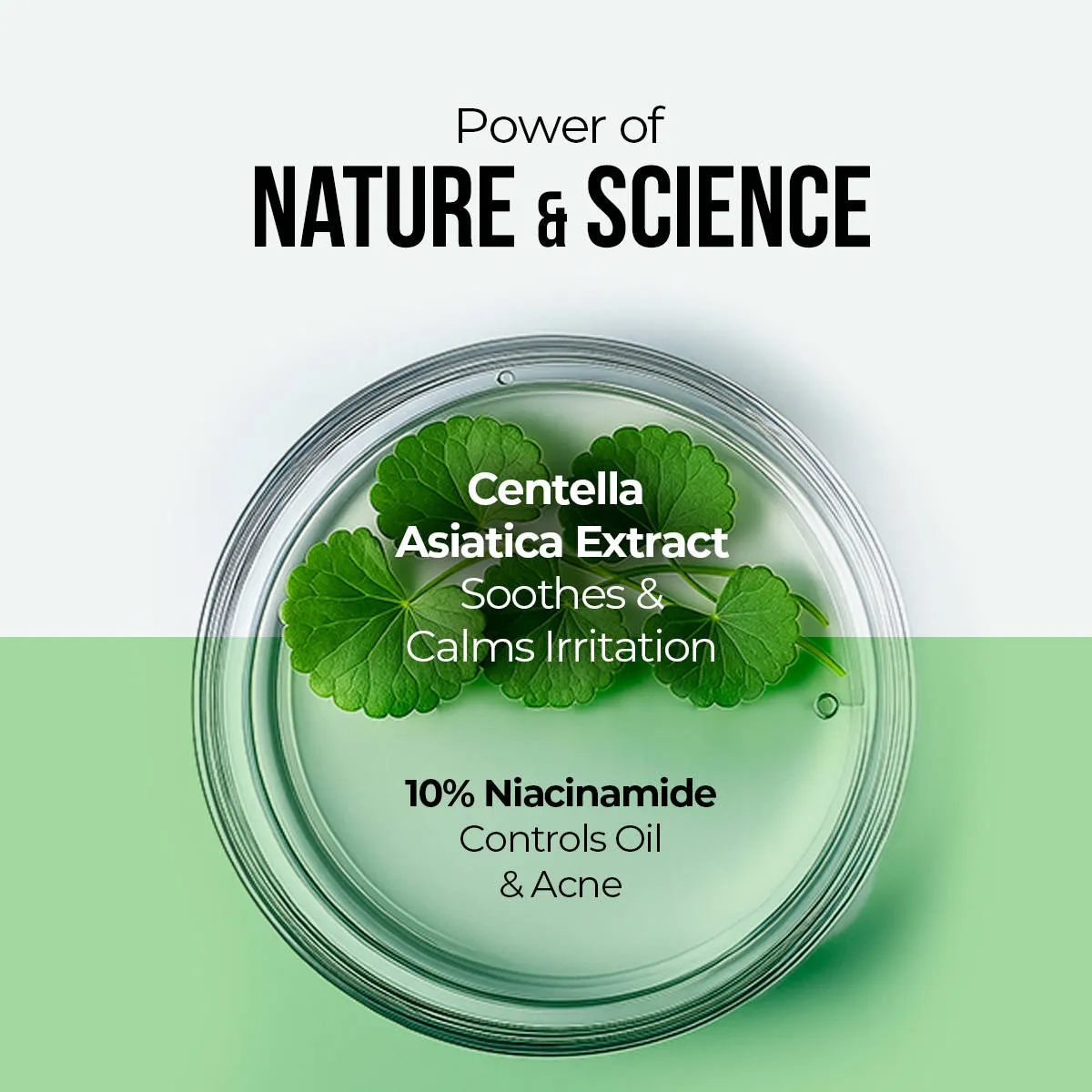 Dr. Sheth's Centella & 10% Niacinamide Ampoule Serum