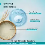 Pilgrim Korean Rice Water & Collagen Advanced Damage Repair Hair Mask For Dry & Damaged Hair view 4