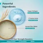 Pilgrim Korean Rice Water & Collagen Advanced Damage Repair Conditioner For Dry Frizzy & Damag Hair view 4