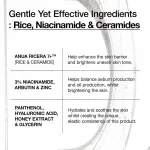 Anua Rice Glow Set Combo view 4