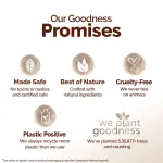 Mamaearth Cocoa Rich Moisturizing Body Lotion With Cocoa Butter & Vitamin view 6