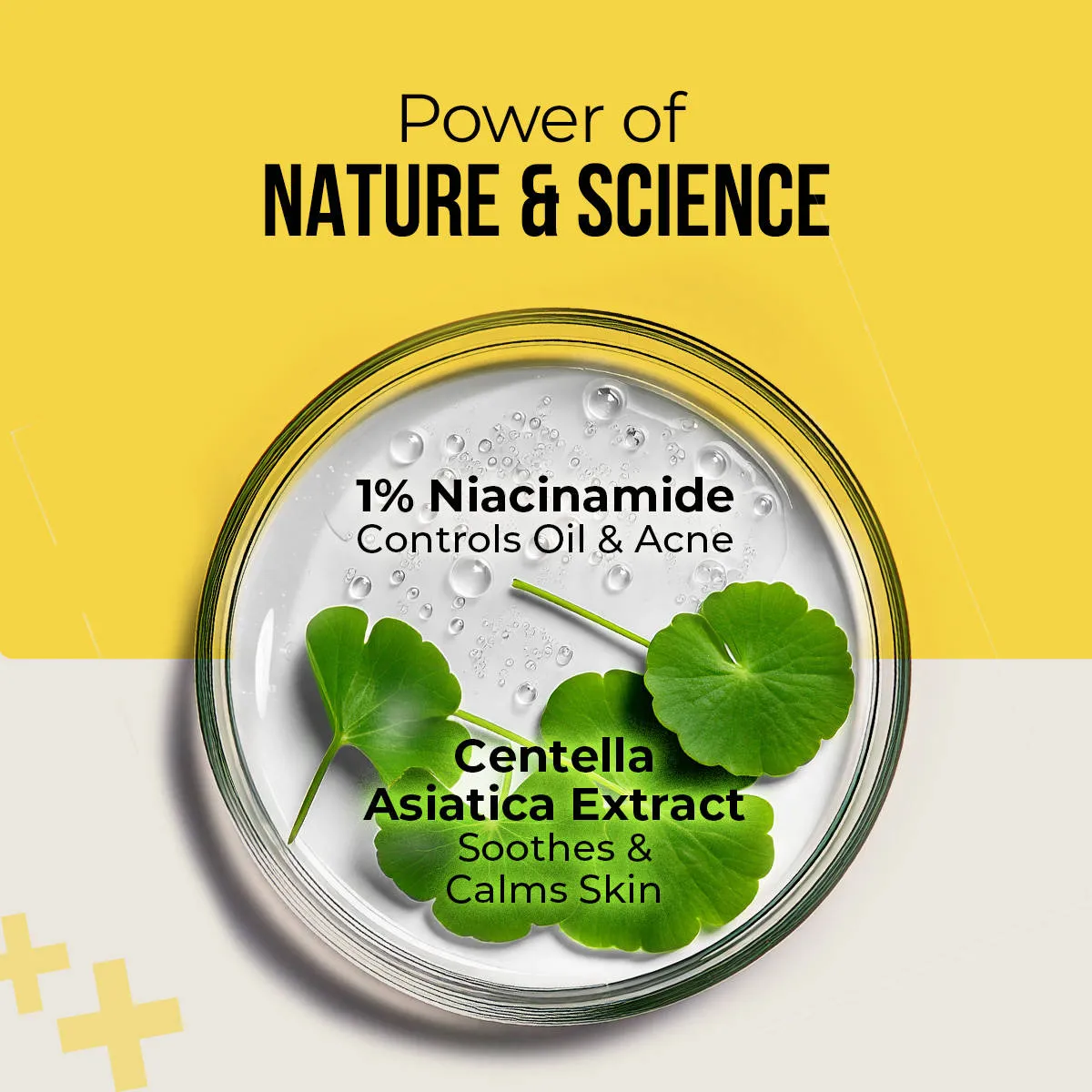 Dr. Sheth'S Centella & Niacinamide Sunscreen Spf 50 Pa+++ Protection For Oily & Acne-Prone Skin