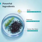 Pilgrim Korean Black Rice & Rosemary Water Spray For Strong & Nourised Thiker Hair Growth- Pack of 3 view 3