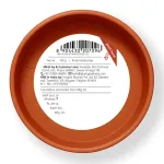 Plum BodyLovin Hazelnut Eclair Body Butter view 8