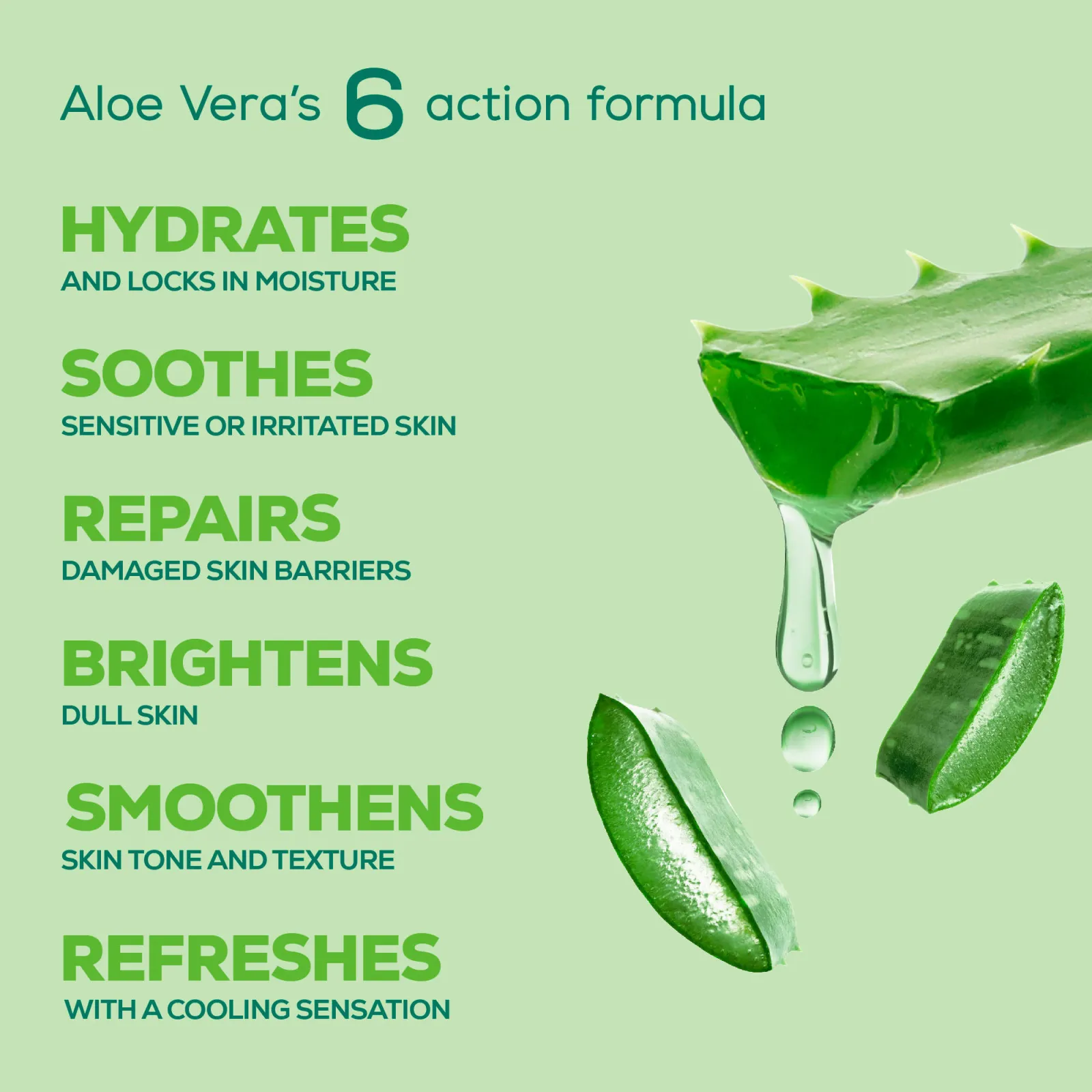 Joy Pure Aloe Vera Summer Skin Combo