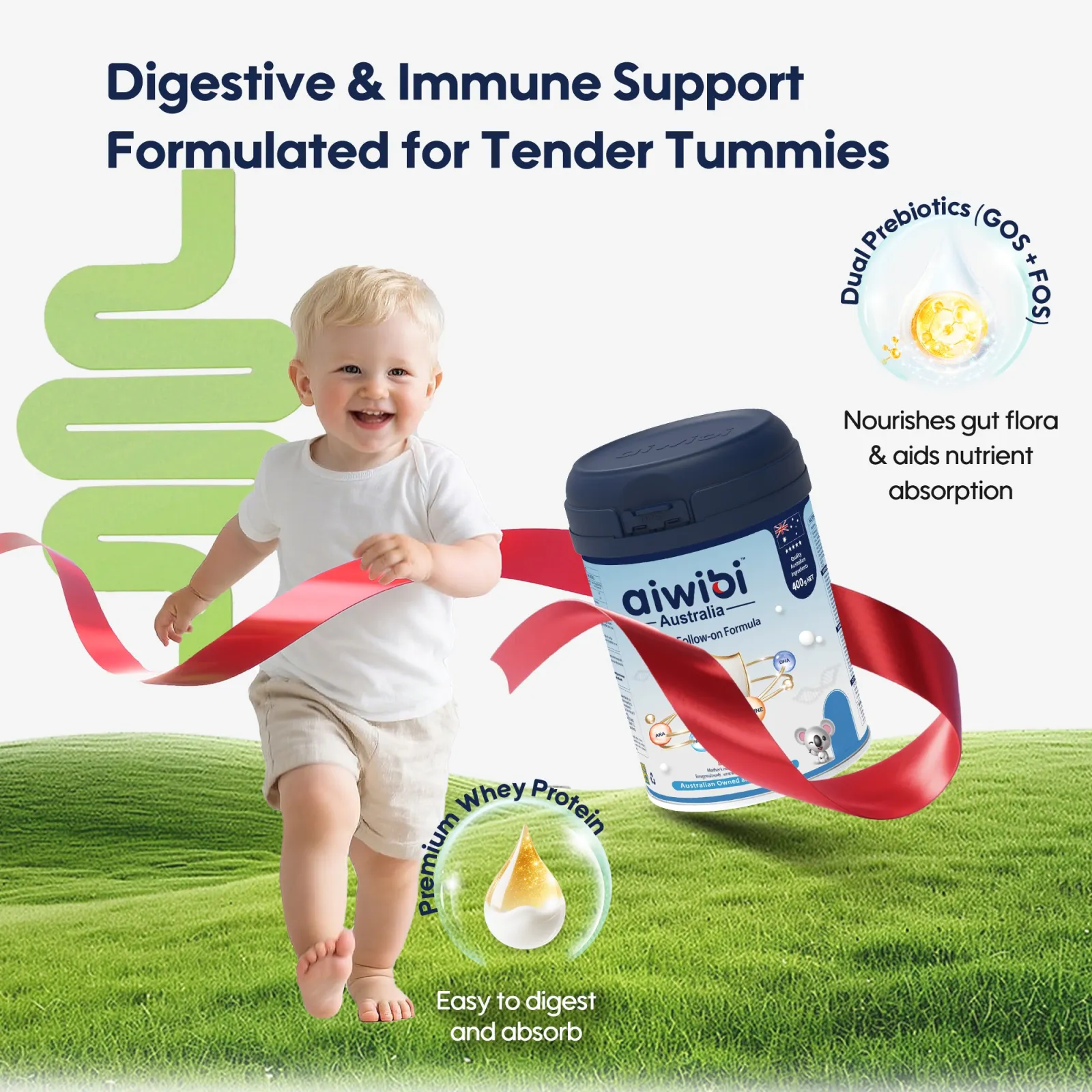 Aiwibi Premium Formula