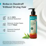 Pilgrim Australian TeaTree & Salicylic Acid Anti-Dandruff Non-Drying Dandruff Control Shampoo view 3