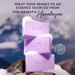 Lux Essence Of Himalayas Lavender & Vitamin C Exfoliating Soap - Pack Of 5 view 5