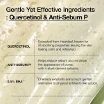 Anua Heartleaf Quercetinol Pore Deep Cleansing Foam with 0.5% BHA For Gentle Exfoliation view 4