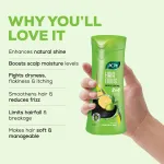 Joy Hair Dryness Control Conditioning Shampoo With Lemon & Olives view 4