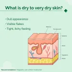 The Derma Co 5% Nia-Ceramide Deep Moisturizing Cream for Dry and Very Dry Skin view 6