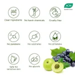 Joy Hair Fruits Shining Black Conditioning Shampoo view 8