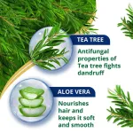 Himalaya Anti Dandruff Tea Tree Conditioner view 3