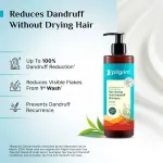 Pilgrim Australian TeaTree & Salicylic Acid Anti-Dandruff Non-Drying Dandruff Control Shampoo view 13