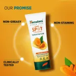 Himalaya Dark Spot Clearing Turmeric Face Scrub view 6