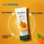 Himalaya Dark Spot Clearing Turmeric Face Pack view 6