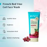 Pilgrim Red Vine Face Wash with Vitamin C & Aloe view 3