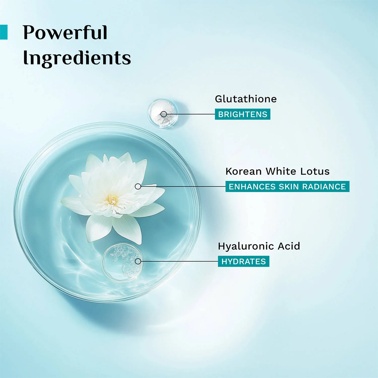 Pilgrim Korean White Lotus Face Cream SPF 50 Glutathione & Hyaluronic Acid for Hydrate Radiant Skin