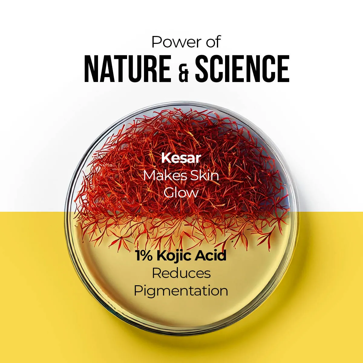 Dr. Sheth's Kesar & Kojic Sunscreen SPF 50+ PA++++ In-Vivo Tested for Pigmentation-Free Skin(50g)