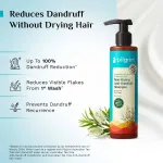 Pilgrim Anti-Dandruff Care Duo Anti-Dandruff Shampoo & Conditioner Up To 100% Dandruff Reduction view 2