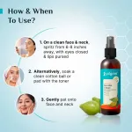 Pilgrim 1% Vitamin C Toner view 5