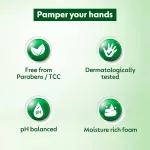 Dettol Aloe Coconut Foaming Handwash Pump view 9