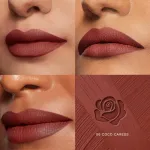 Pilgrim Matte Me Up Velvet Matte Bullet Lipstick Soft, Transferproof & Smudgeproof view 66