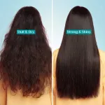 Pilgrim Argan Oil Deep Nourish Hair Mask for Dry Frizzy & Damaged Hair Paraben Free- Pack of 2 view 4