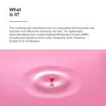 Minimalist Vitamin B12 + NMF 03% Face Toner view 2