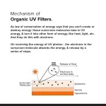 Minimalist Light Fluid SPF 50 Face Sunscreen view 6