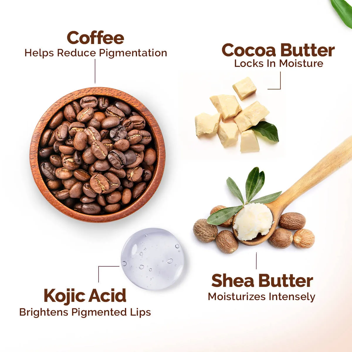 Mamaearth Cocoa Lip Balm with Coconut Oil and Cocoa Butter for Healing and Brightening Dry Lips