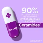 The Derma Co Ceramides Lip Balm with SPF 30 PA+++ and Vitamin E for Dry and Chapped Lips view 2