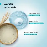 Pilgrim Korean Rice Water Hydra Glow Gel Face Wash - Pack of 2 view 3