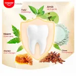 Colgate Vedshakti Toothpaste For Whole Mouth Health view 4