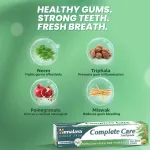 Himalaya Complete Care Toothpaste view 2