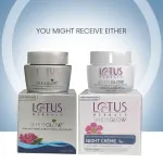 Lotus Herbals Whiteglow Skin Whitening & Brightening Nourishing Night Face Cream With Niacinamide view 8