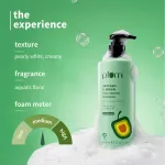 Plum Avocado & Argan Oil Sulphate-Free Shampoo For Frizzy Hair view 6