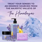 Lux Essence Of Himalayas Lavender & Vitamin C Body Scrub view 8