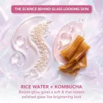 Lotus Herbals Korean Glass Skin Facial Kit view 7