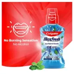 Colgate Maxfresh Plax Antibacterial Mouthwash, Pepper Mint view 7