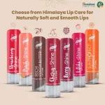 Himalaya Natural Soft Vanilla Lip Care view 7